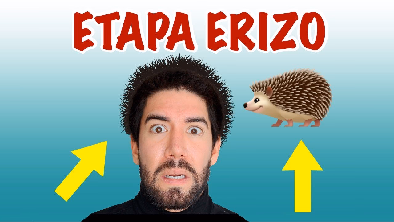 ¿Cómo bajar los pelitos del frizz?