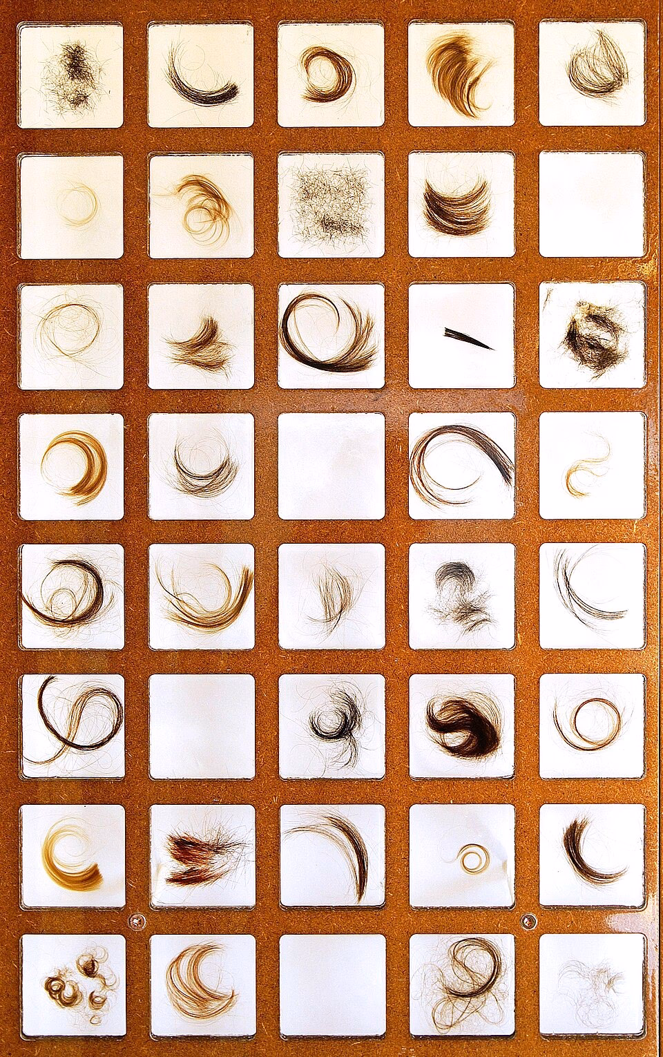 ¿Qué color de cabello tienen los españoles?