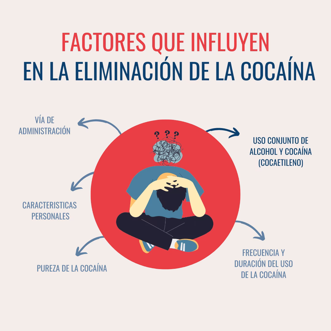 ¿Qué droga tarda más en salir del cuerpo?