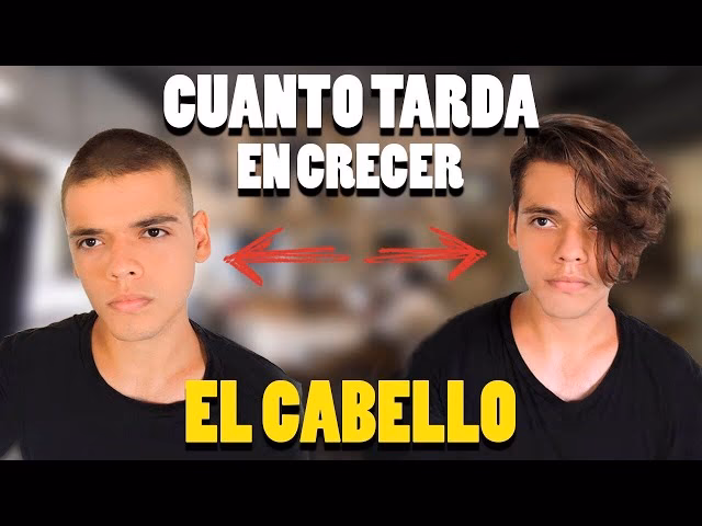 ¿Cuánto tiempo tarda en crecer el cabello de los niños?