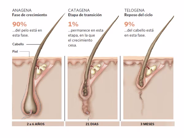 ¿Es biodegradable el cabello humano?