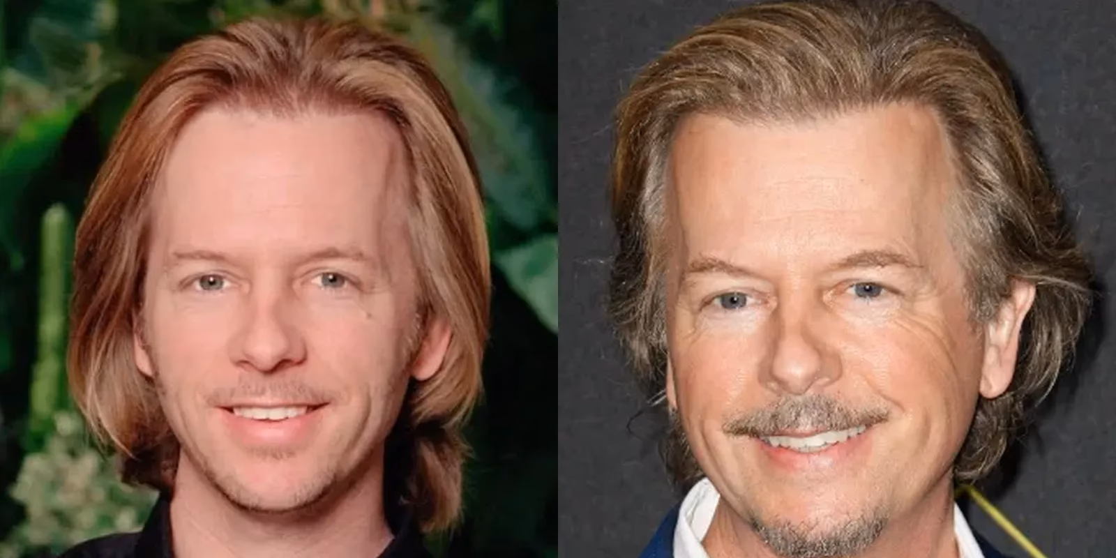 ¿David Spade tiene cabello real?