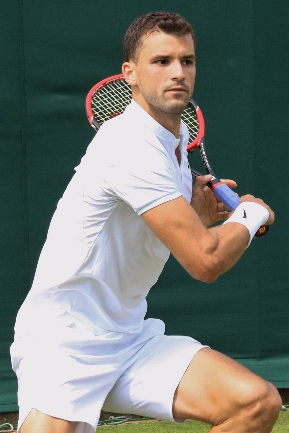 ¿Qué le pasó a Grigor Dimitrov?