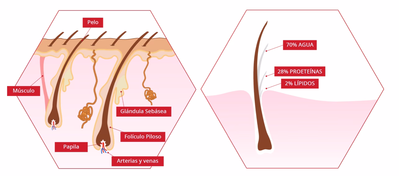 ¿Qué es un cabello desnaturalizado?