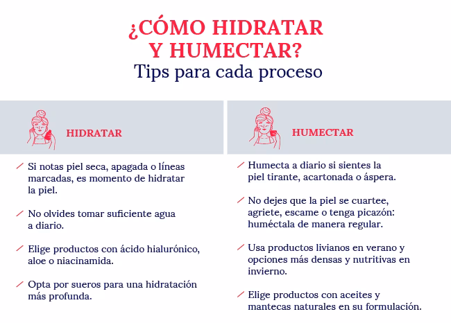 ¿Qué se hace primero, hidratar o humectar?