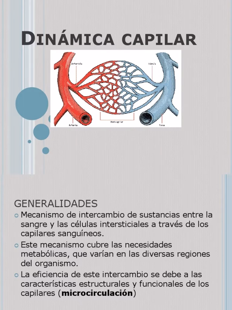 ¿Cuáles son los factores de la dinámica capilar?