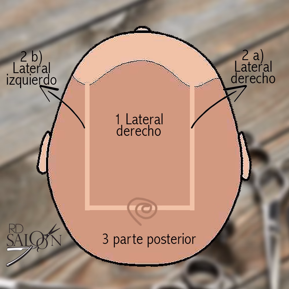 ¿Cómo se divide el cabello para realizar un corte?