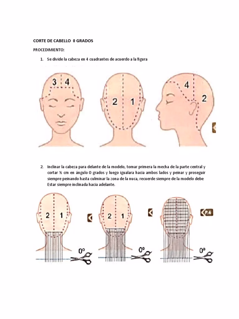 ¿Cuáles son las partes de un corte de pelo?