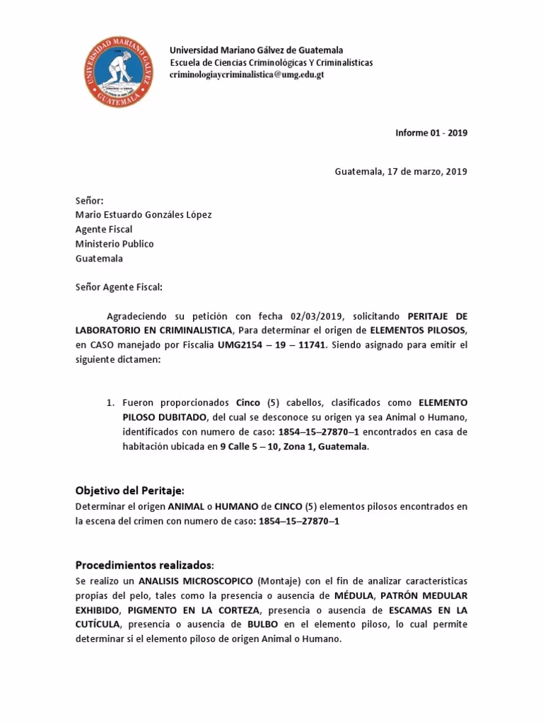 ¿Por qué la evidencia del cabello no es confiable?