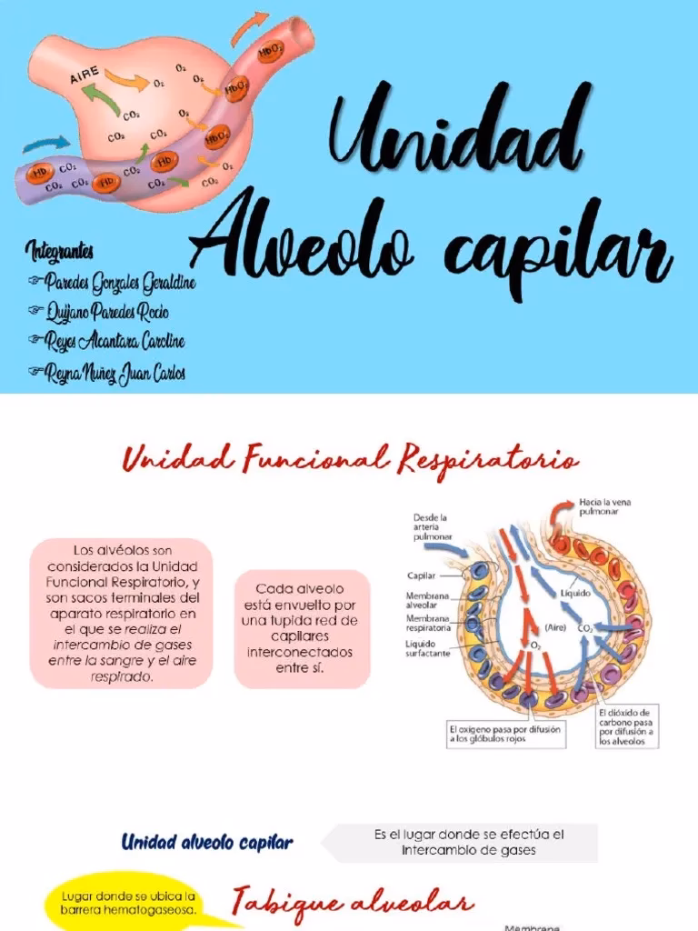 ¿Qué es un edema alveolar?