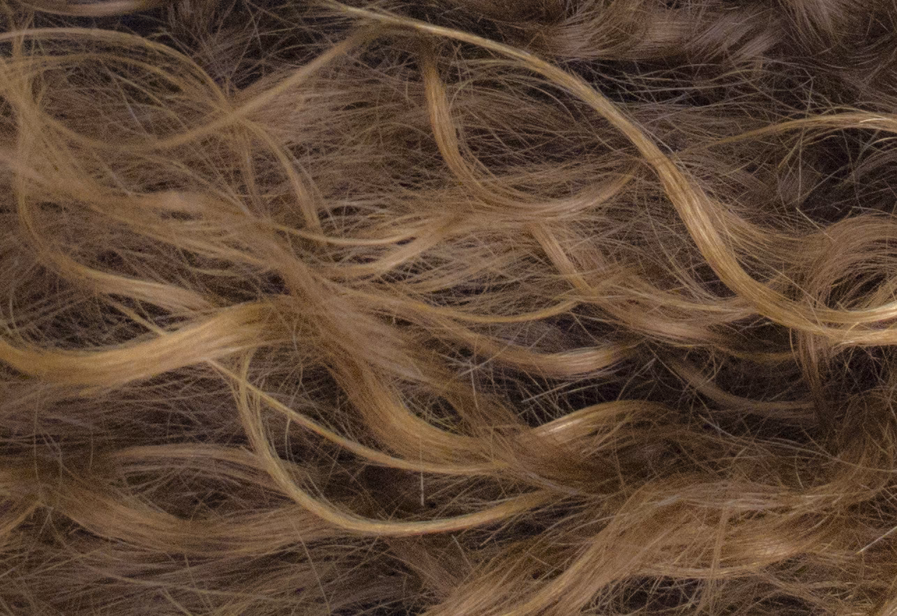 ¿Por qué el cabello es un símbolo de poder?