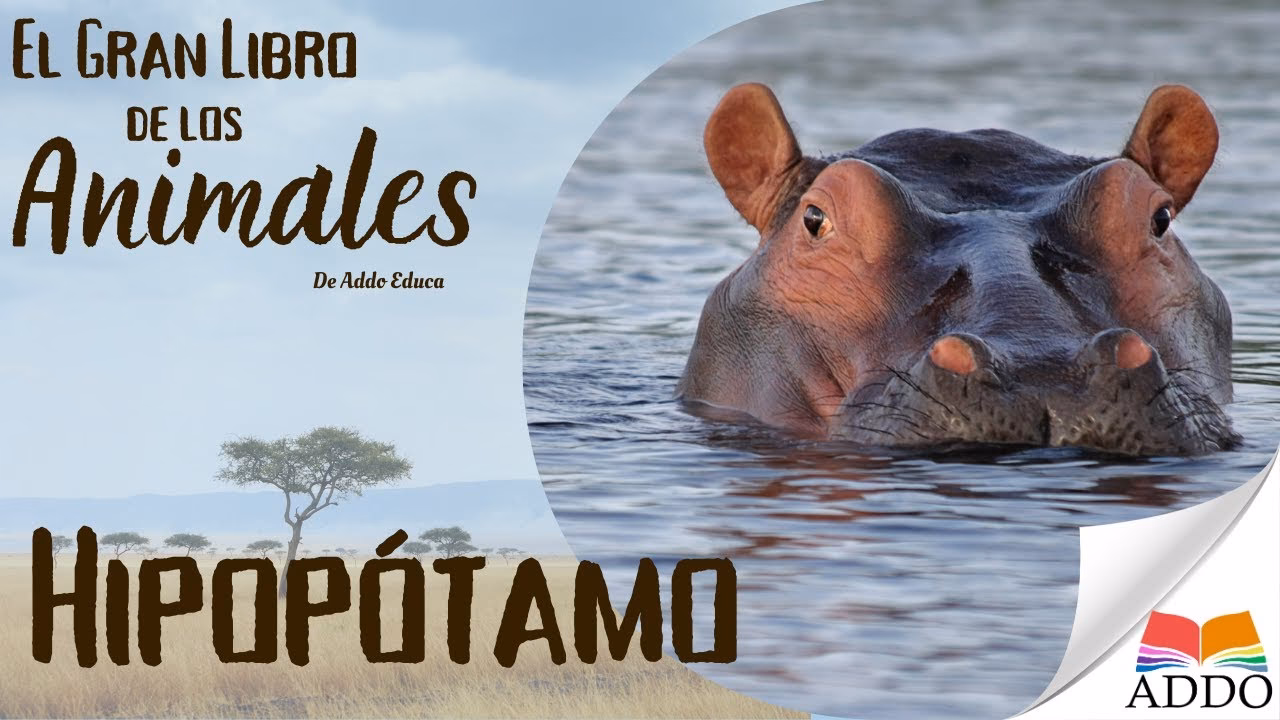 ¿Los hipopótamos tienen pelo?