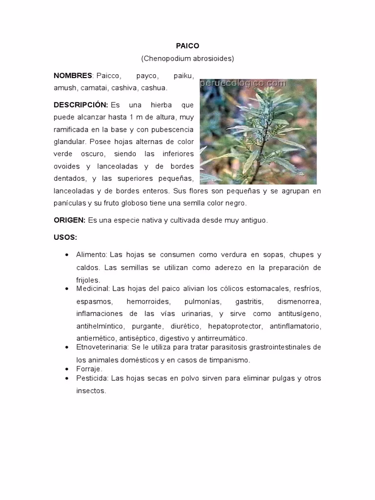 ¿Qué país tiene el mejor pelo?