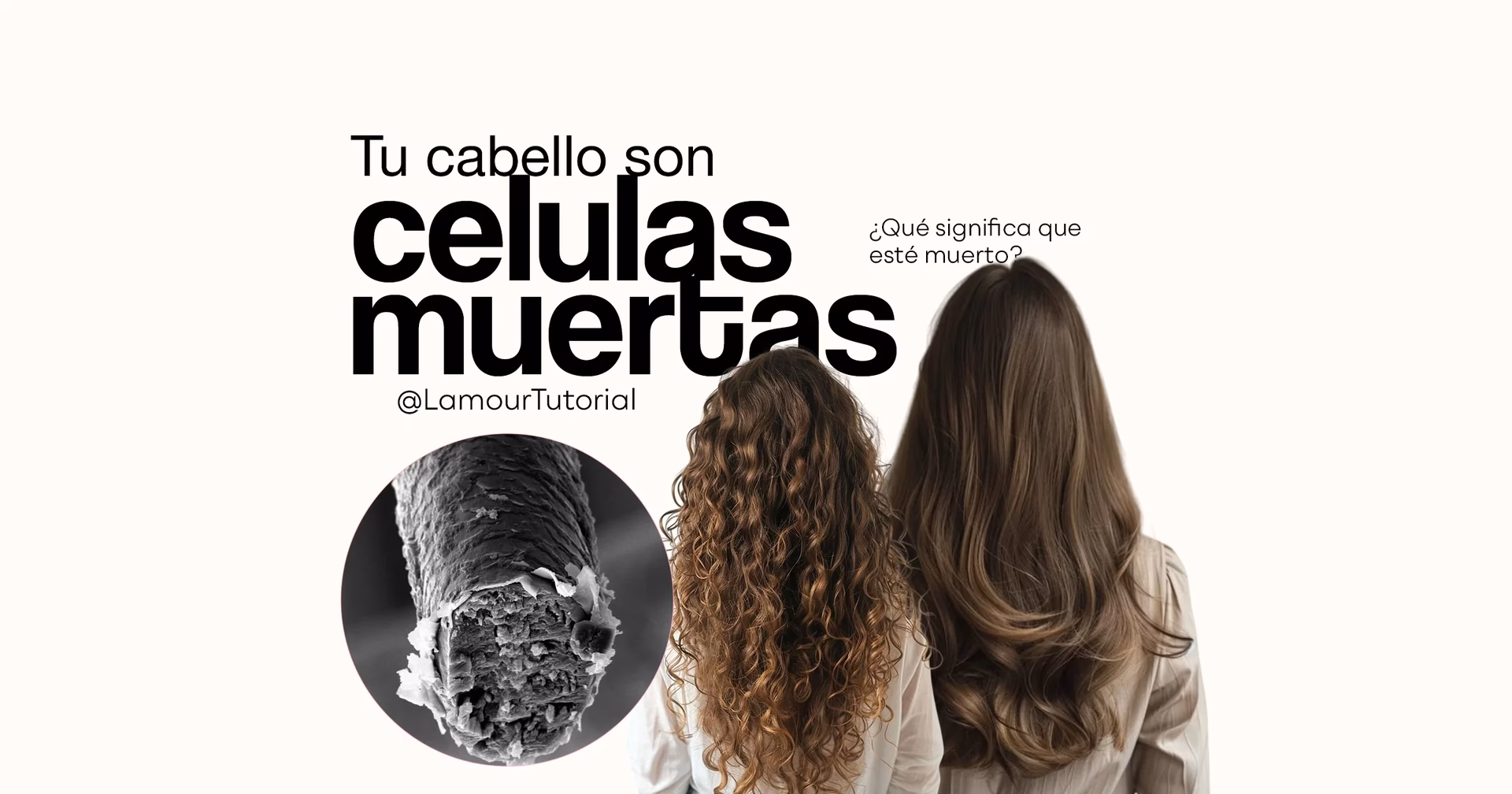 ¿El cabello es una célula muerta?