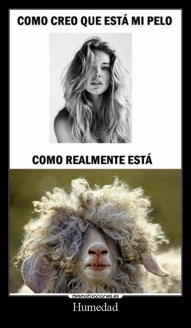 ¿Qué hace la humedad al pelo rizado?