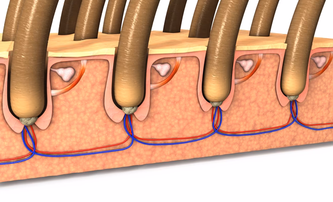 ¿Qué cosas no se pueden hacer durante la menstruación?