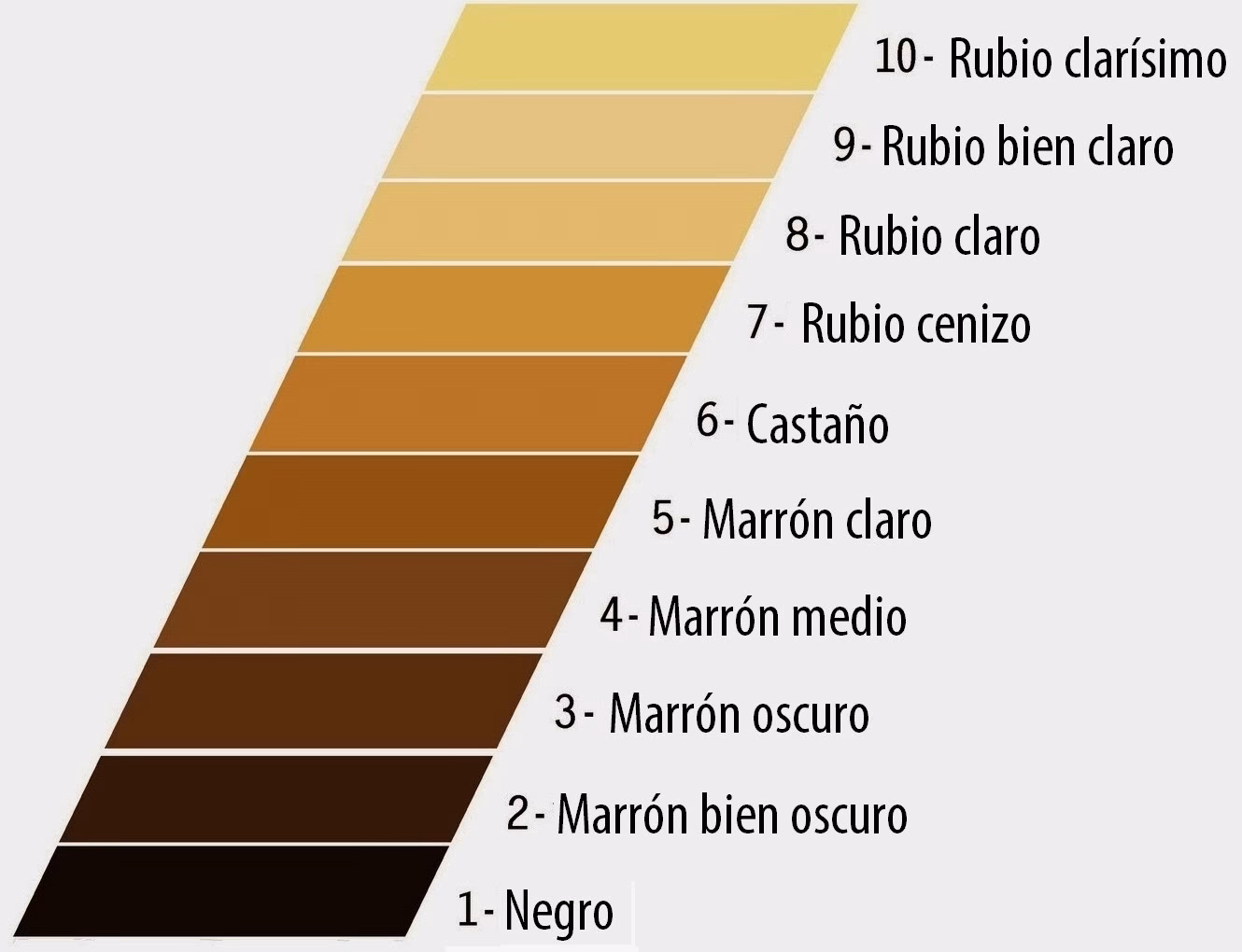 ¿Cómo puedo saber cuál es mi colorimetría del cabello?
