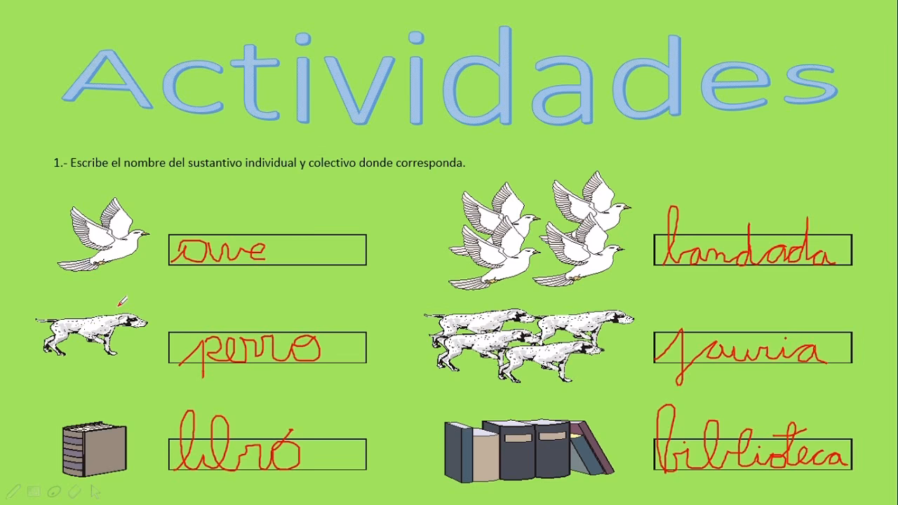 ¿Cómo saber si el sustantivo es individual o colectivo?