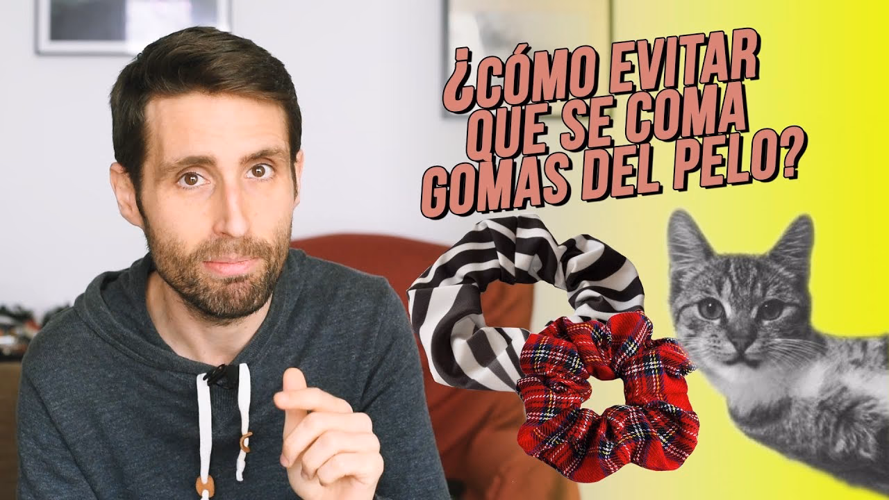 ¿Está bien que los gatos se coman el pelo?