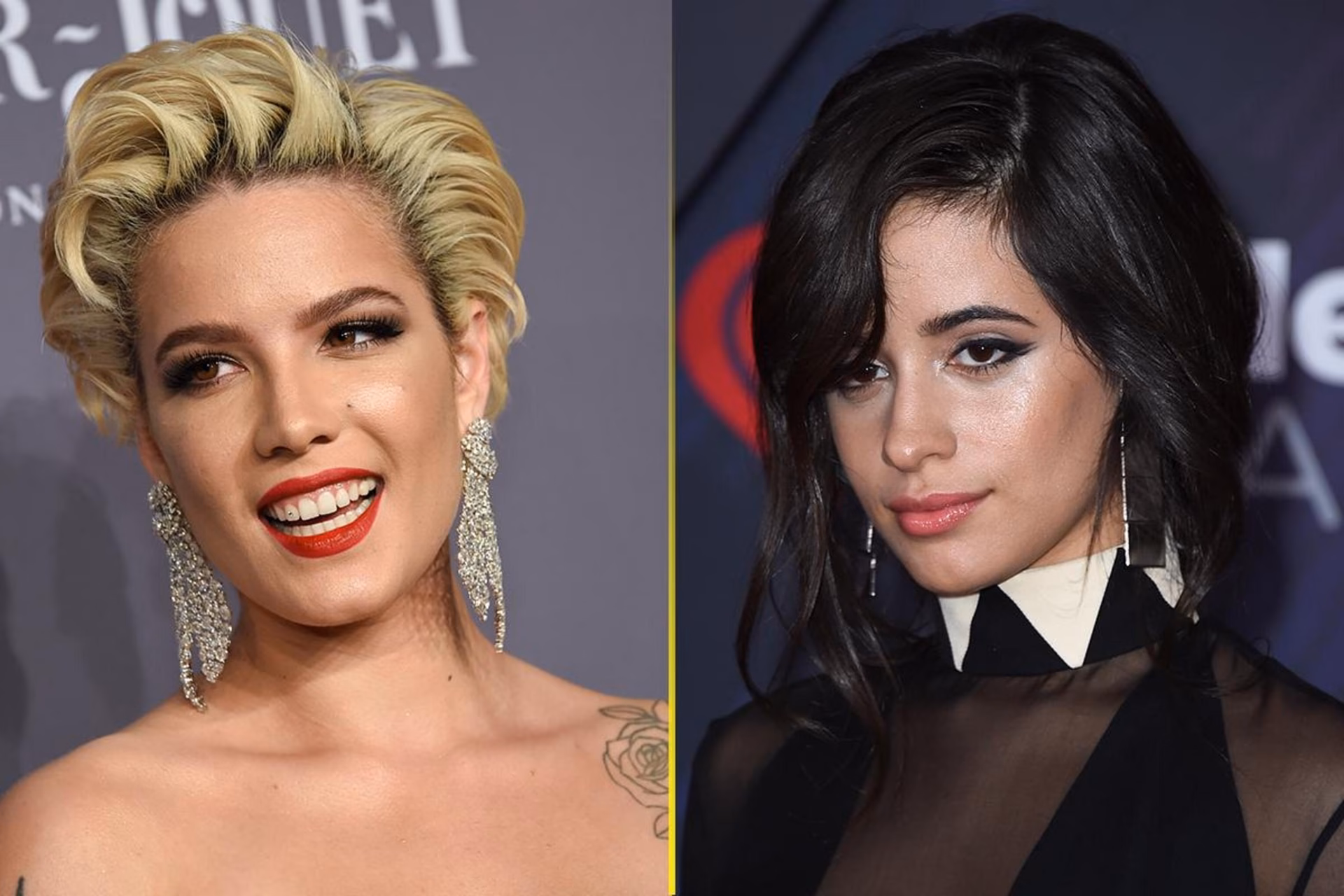 ¿Qué tipo de cabello tiene Halsey?