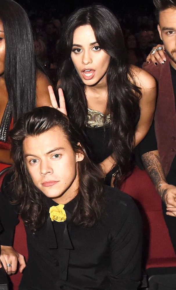 ¿Quién fue la novia mayor de Harry Styles?