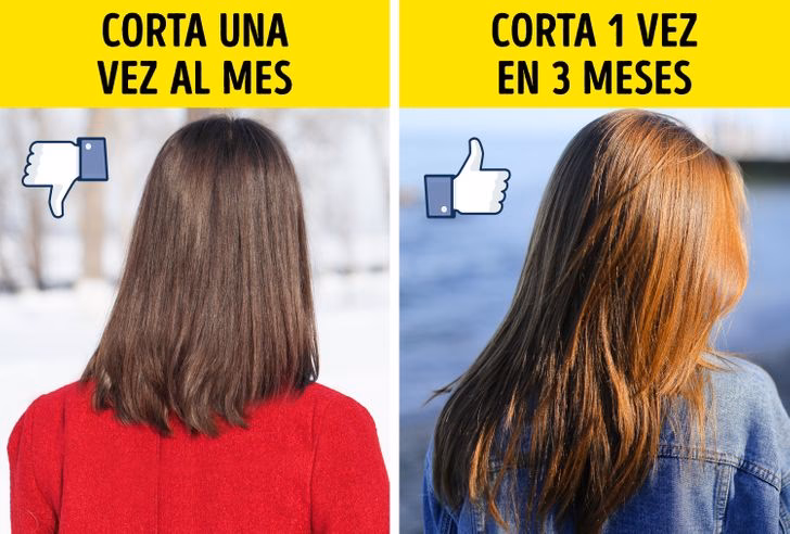 ¿Cuál es el largo ideal para el cabello?