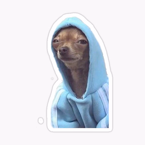 ¿Cómo se llama el perro famoso de los memes?