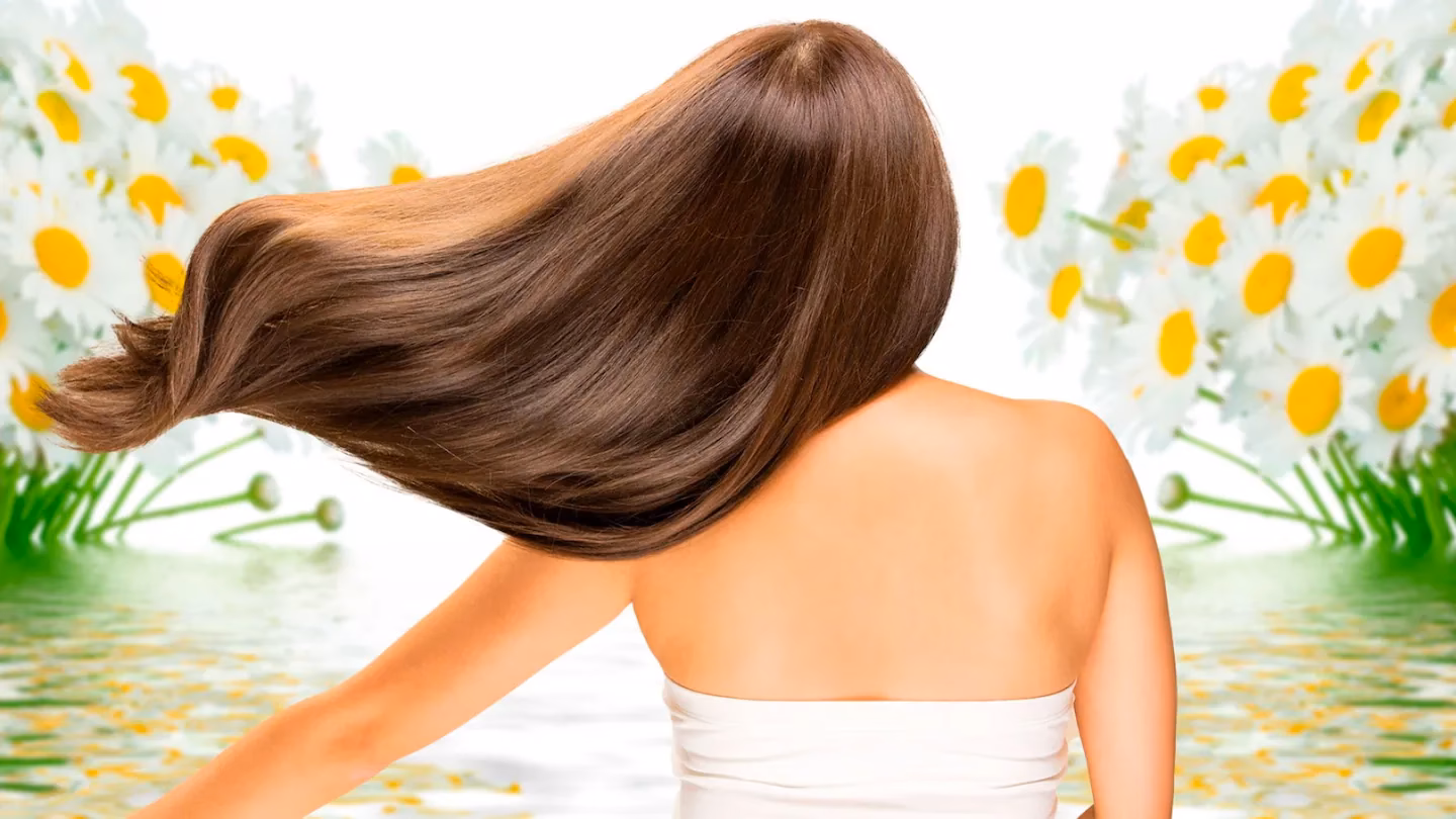 ¿Qué efectos secundarios tiene la manzanilla?