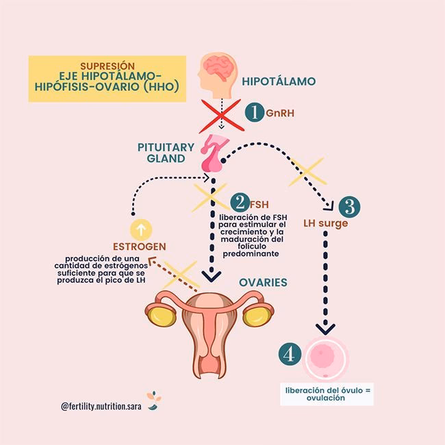 ¿Cuáles son los efectos secundarios de la amenorrea?