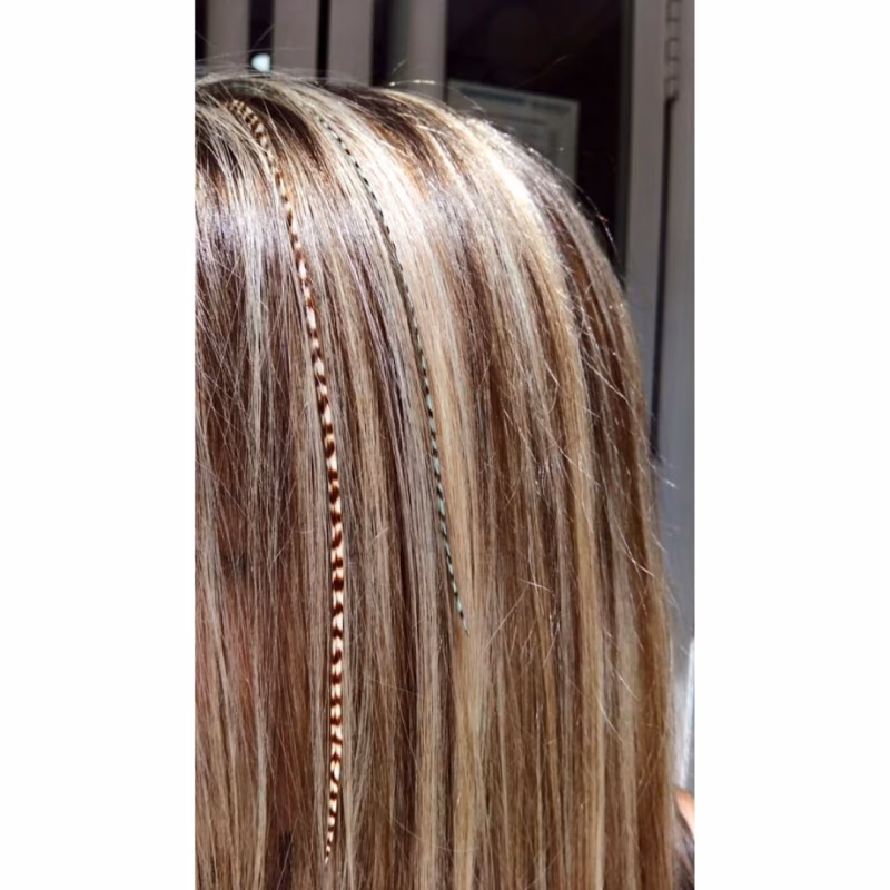 ¿Las plumas son pelaje?