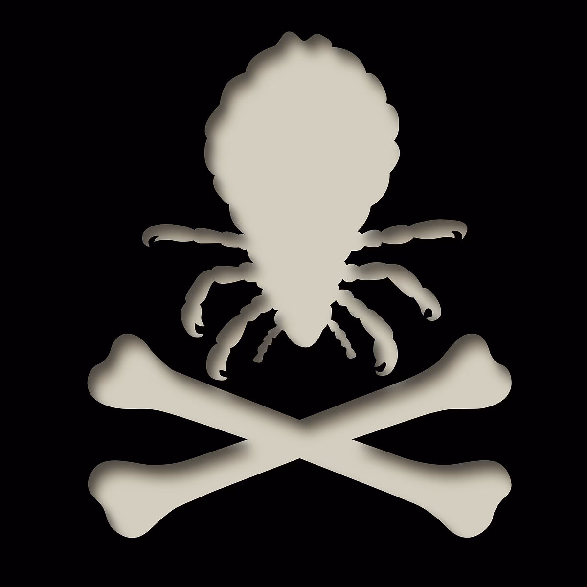 ¿Qué le hace el secador a los piojos?