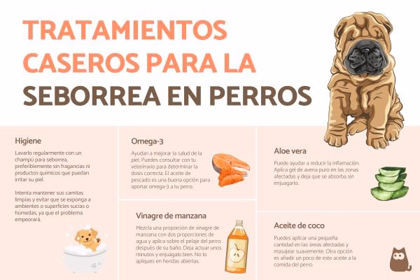 ¿Cómo puedo eliminar la grasa del pelo de mi perro?