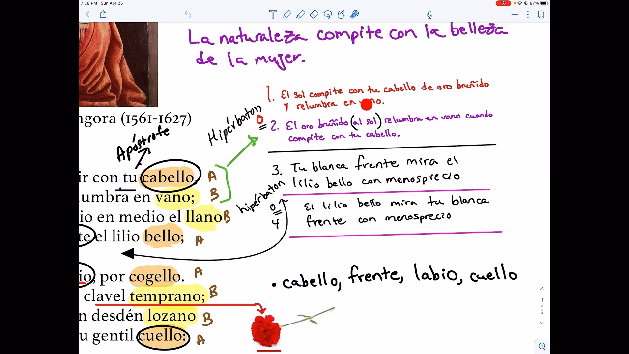 ¿Cuál es el tema principal del poema Mientras por competir con tu cabello?