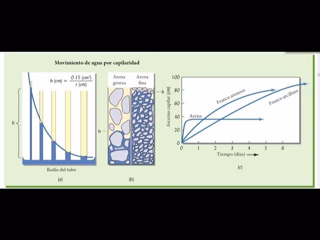 ¿Cómo se le llama al movimiento del suelo?