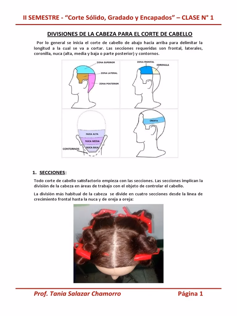 ¿Cómo dividir en secciones el pelo?