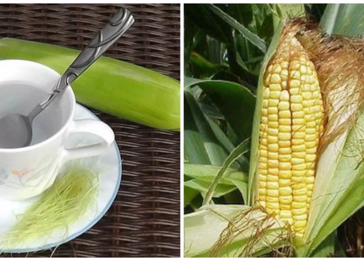 ¿Cómo se le llama al pelo del choclo?