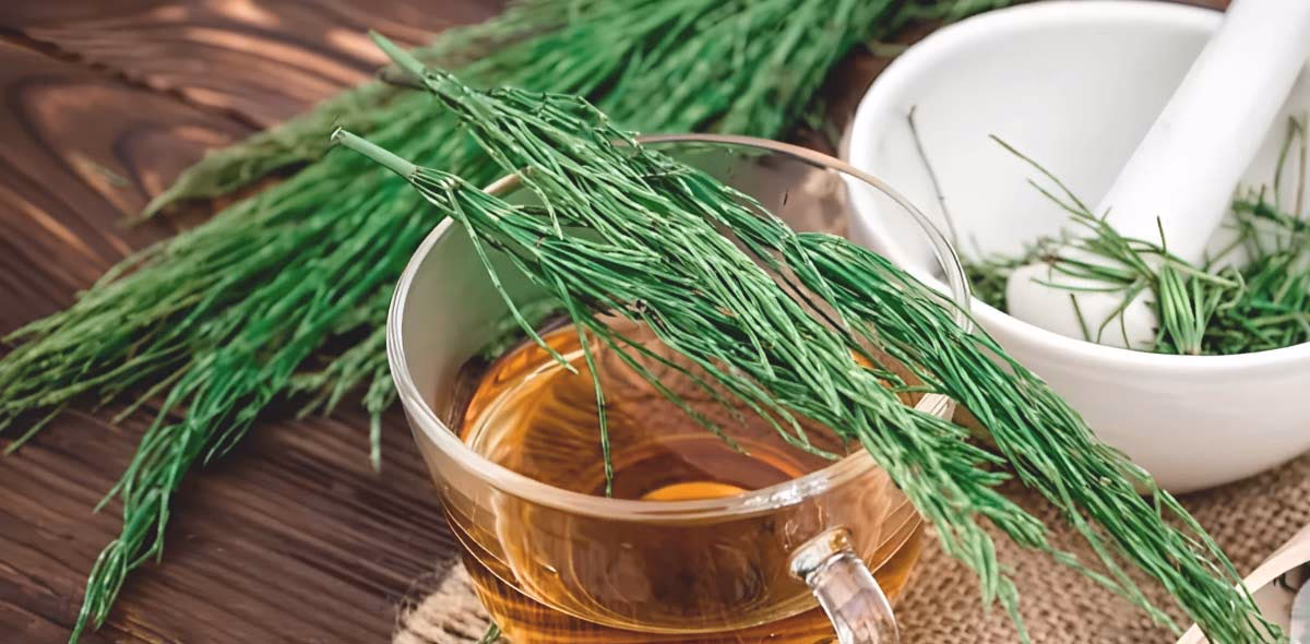 ¿Cómo se utiliza la cola de caballo en el cabello?