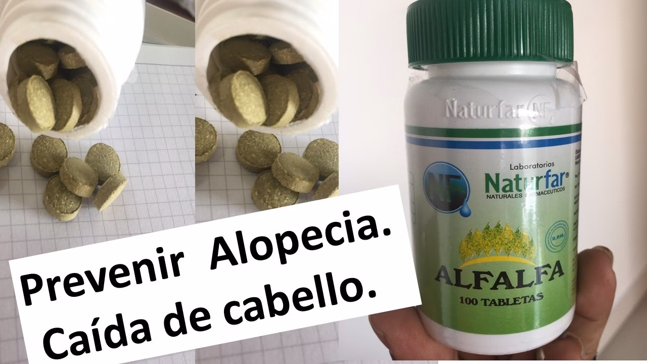 ¿Cuáles son los beneficios de la alfalfa?