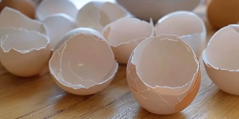 ¿Cómo se puede usar la cáscara de huevo en el cabello?