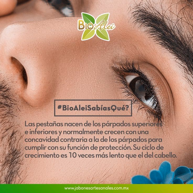 ¿Qué enfermedades producen caída de párpados?