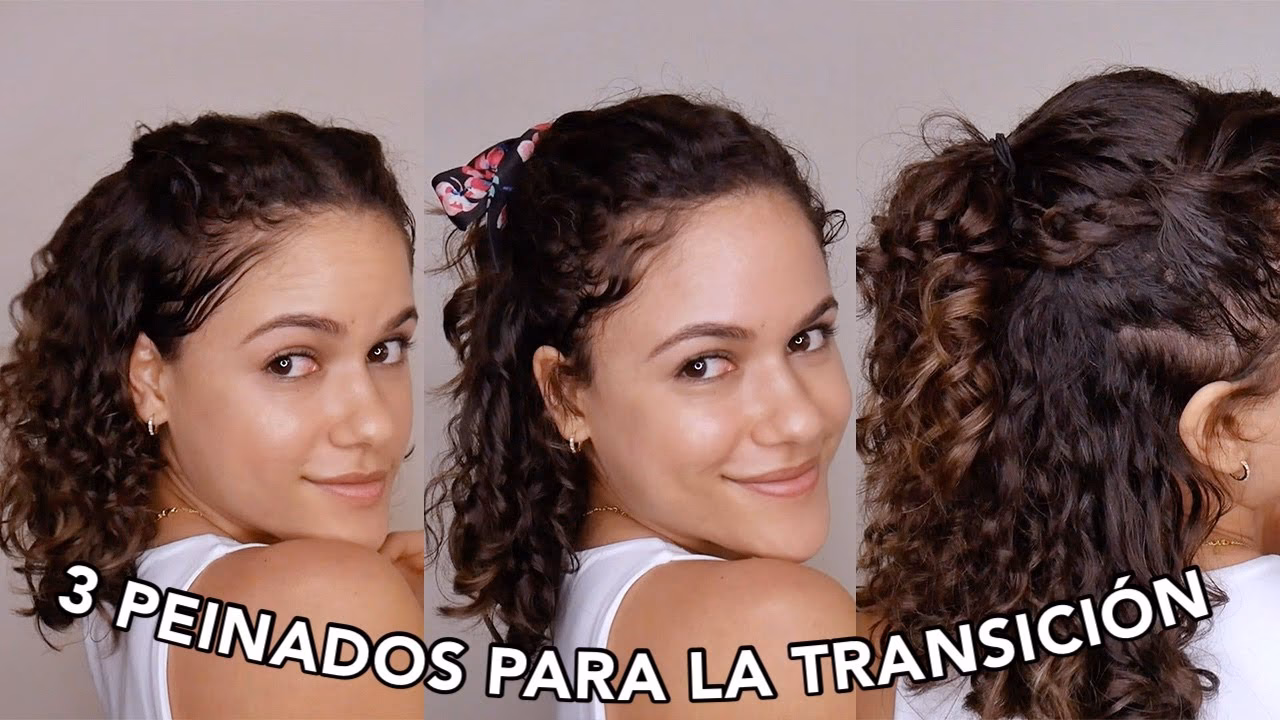 ¿Cómo se ve el cabello en transición?