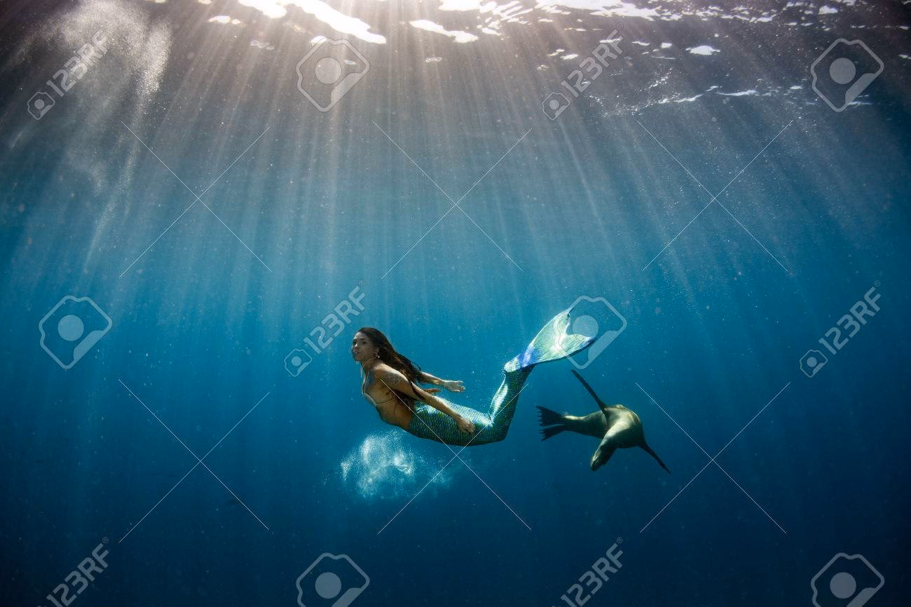 ¿Dónde ver la sirena de pelo blanco?