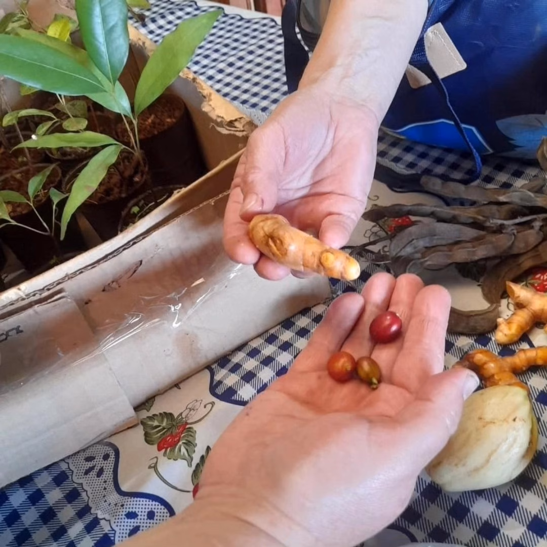 ¿Qué personas están en el Poder Judicial?