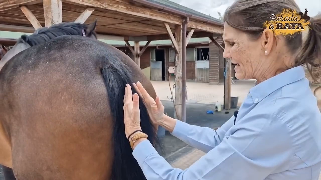 ¿Cuándo pelechan los caballos?