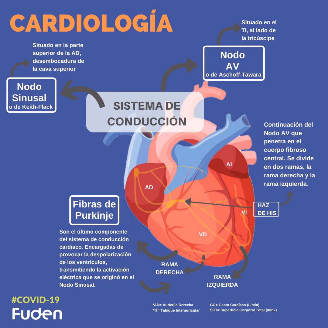 ¿Qué es la presión capilar pulmonar elevada?