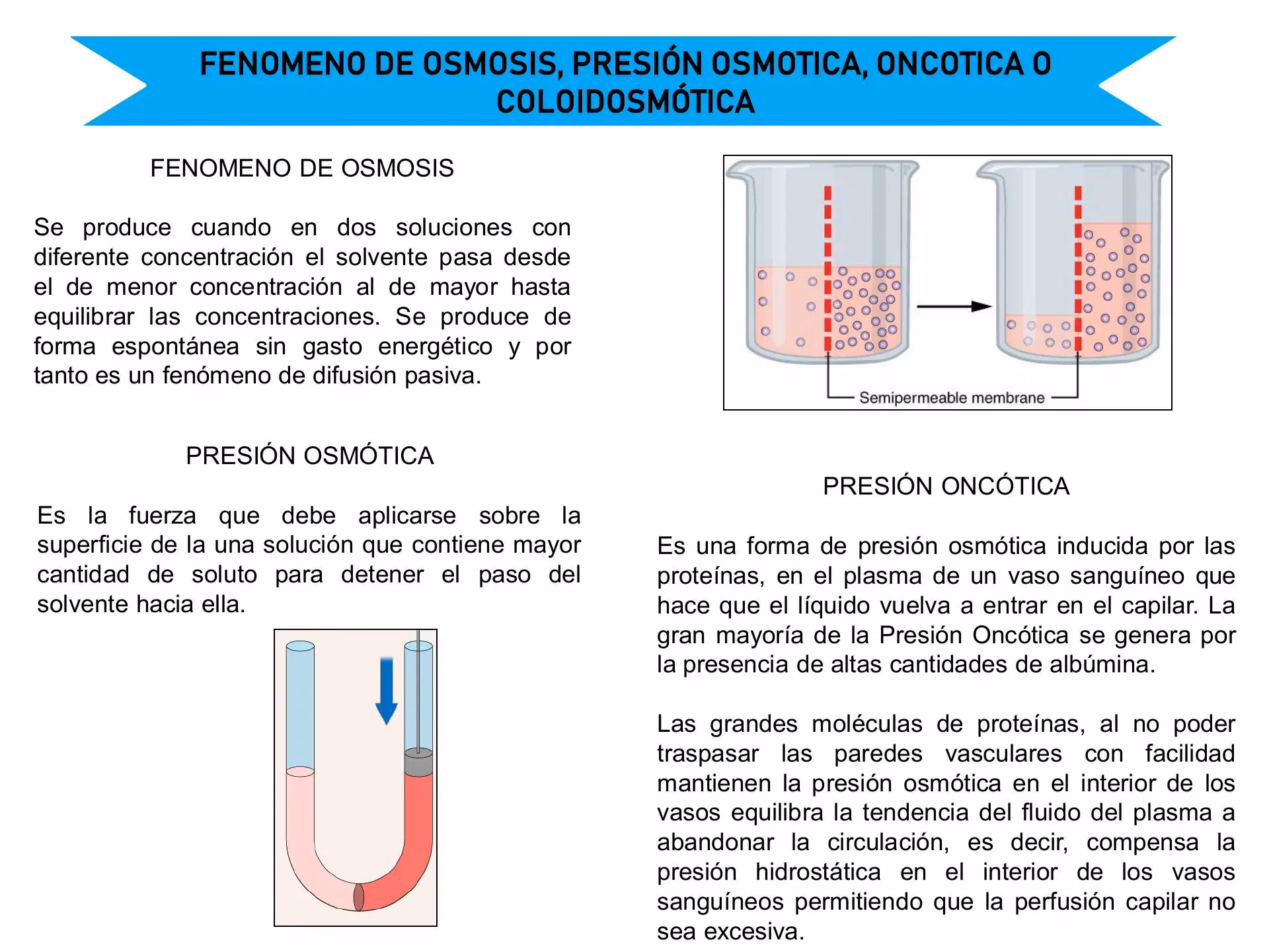 ¿Cuáles son los signos del shock hipovolémico?