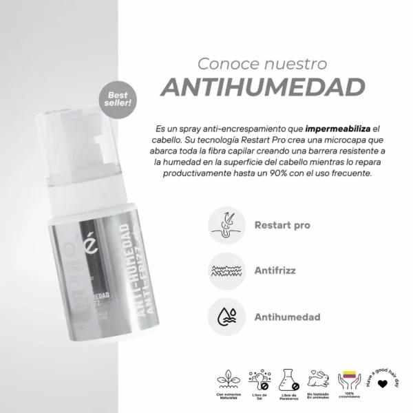 ¿Cómo evitar la humedad capilar?