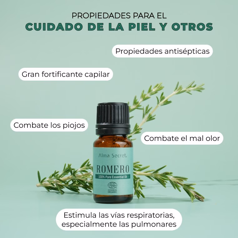 ¿Cómo usar el romero para eliminar los piojos?