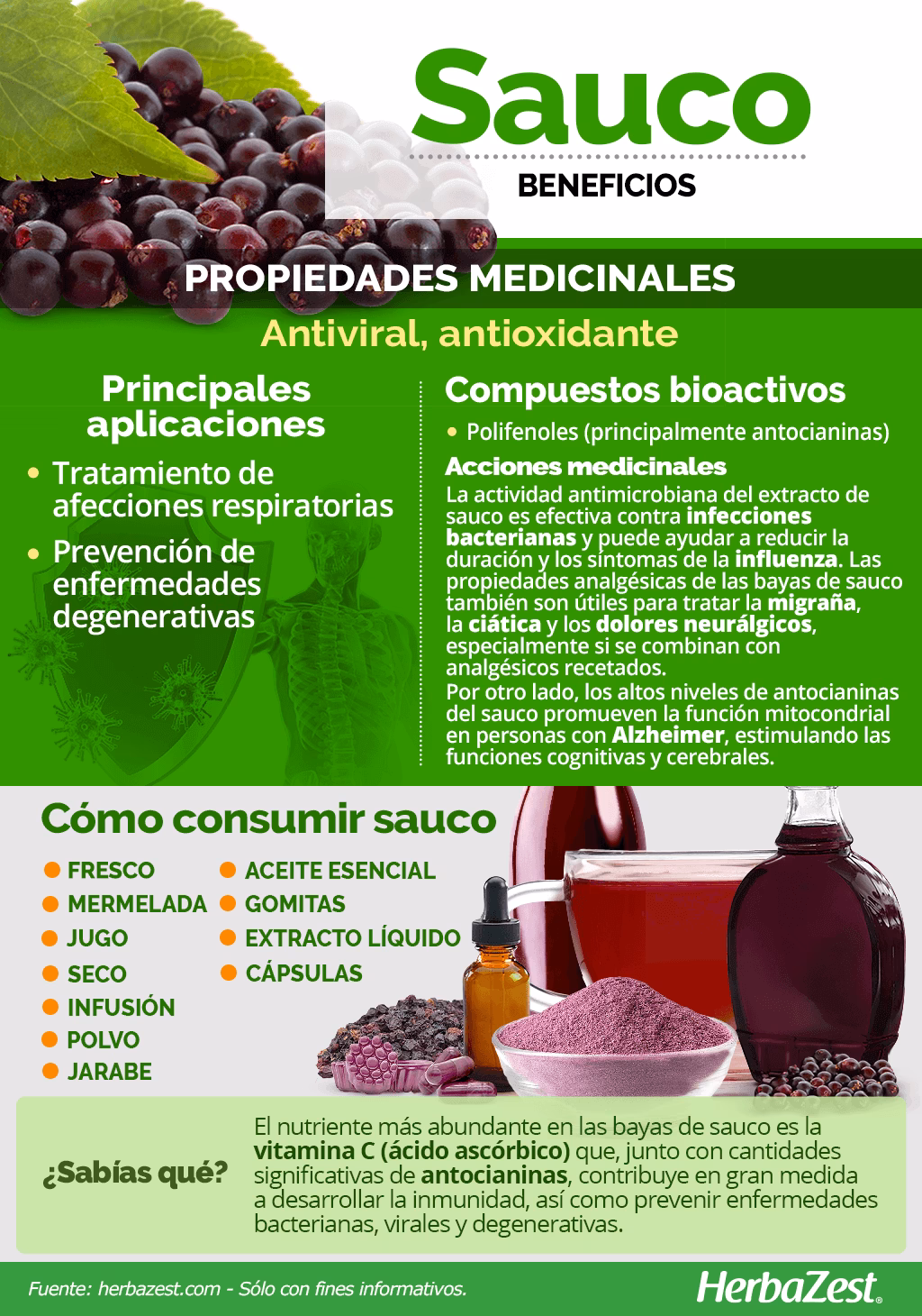 ¿Qué hace el sauco en el cabello?