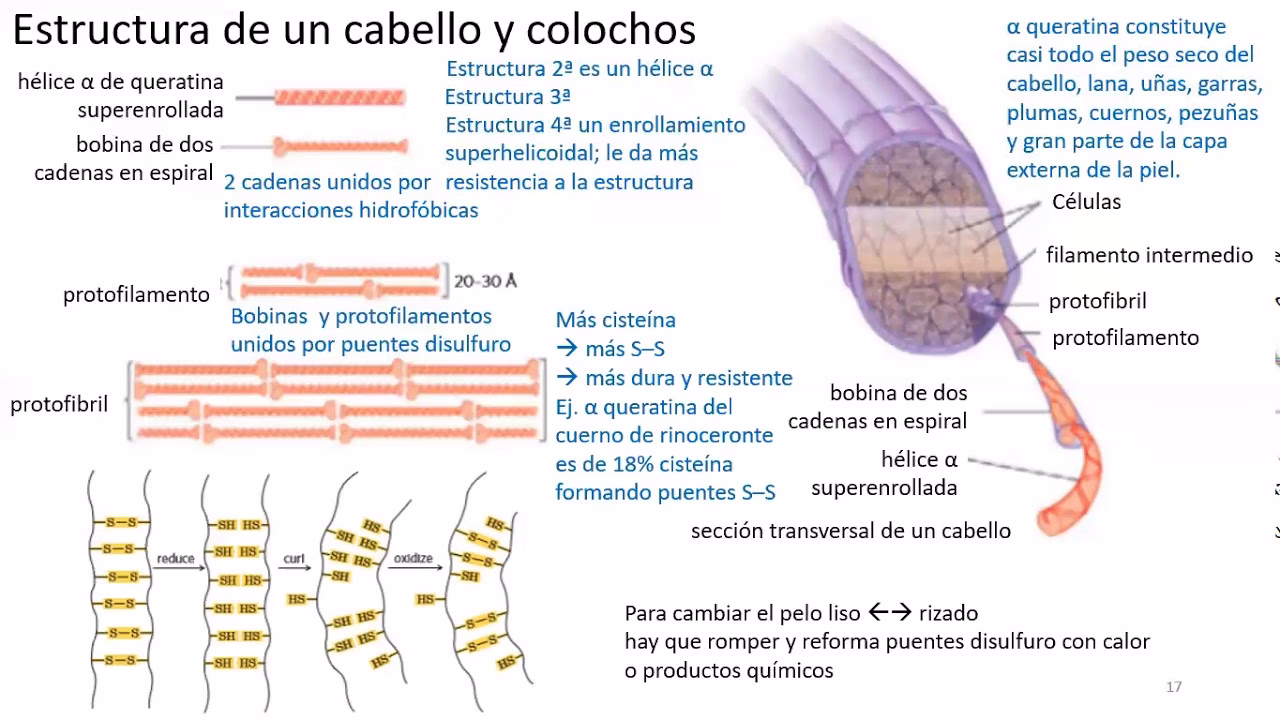 ¿Qué es el puente Sixtino?